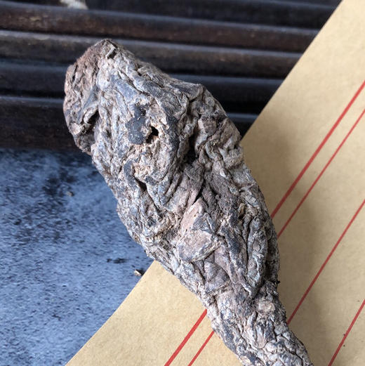 河南焦作生地个 整个生地  500克 1000克 包邮 商品图3