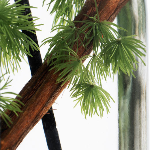 松美术馆—四季香薰（周三晚8点，仅限产品体验官购买）下单后3-5天，顺丰快递发出「观夏tosummer」 商品图2