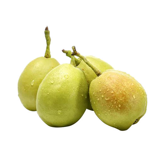 有机种植伏梨礼盒装装1518枚48斤有机种植水果中国有机认证原生态种植