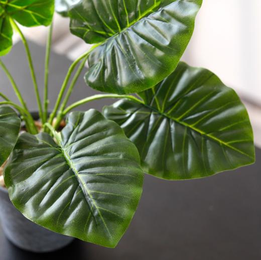 【装饰品】北欧风仿真龟背叶植物盆栽 绿植叶子带盆家居桌面装饰品