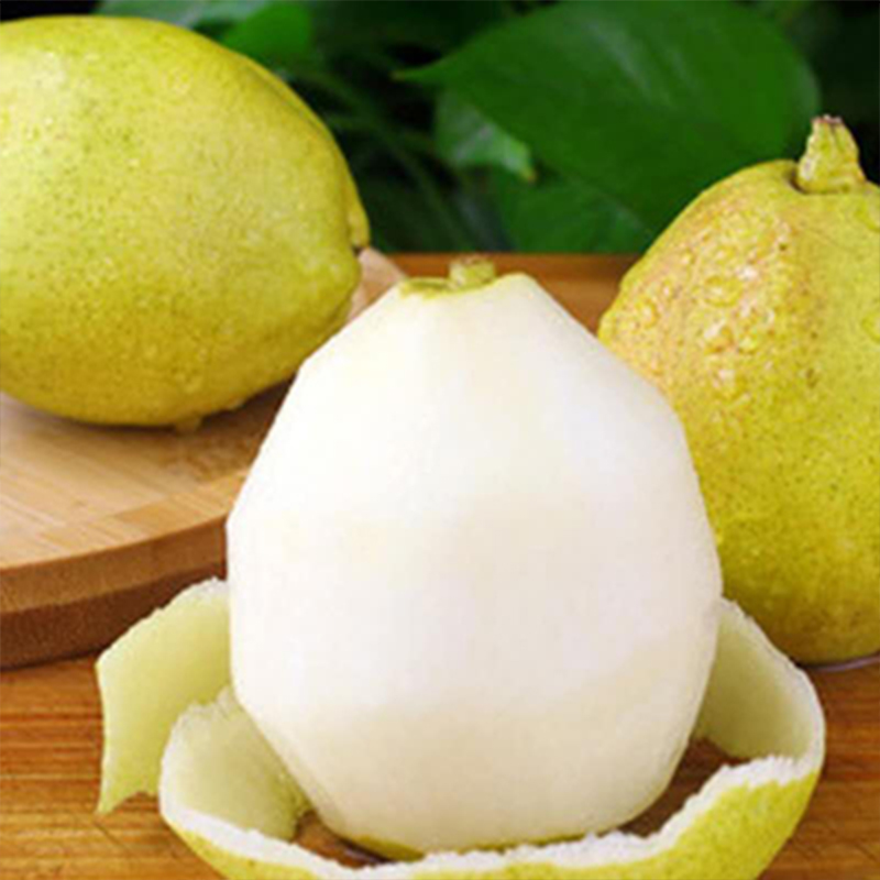 库尔勒香梨 肉质脆嫩 口感清爽 12.5斤左右/箱