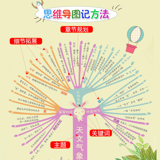 思维导图作文 小学生写景作文 商品图2