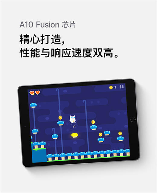 Apple iPad 平板电脑 2019年新款10.2英寸 wifi版JPY带授权招加盟代理 商品图5