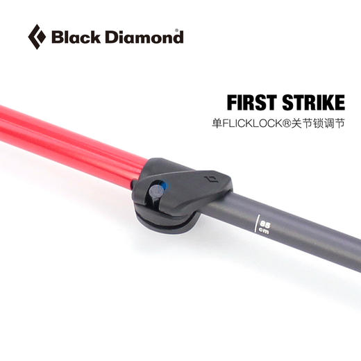 BD Black Diamond 儿童 超轻四季徒步杖登山杖 户外旅行 112228 商品图2