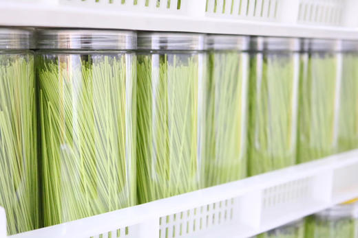 猪肝菠菜面 商品图2