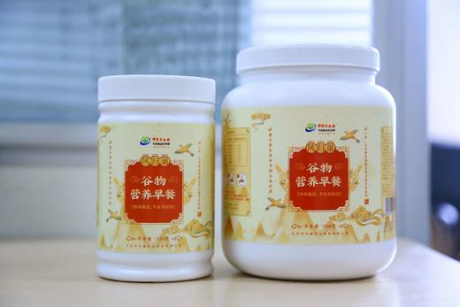 社区团购 凤归巢 谷物营养早餐粉 900g 商品图0