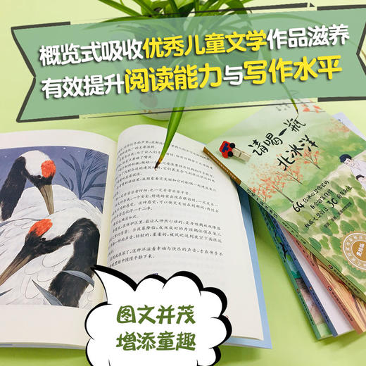 冰心奖获奖作家精品书系 美绘注音版 第二辑（套装共5册） 请喝一瓶北冰洋+回望星空下的沙原+ 追寻驯鹿的脚印+ 爸爸住在衣柜里+走进鸟的歌声第二辑 美绘注音亲子课外阅读 商品图2