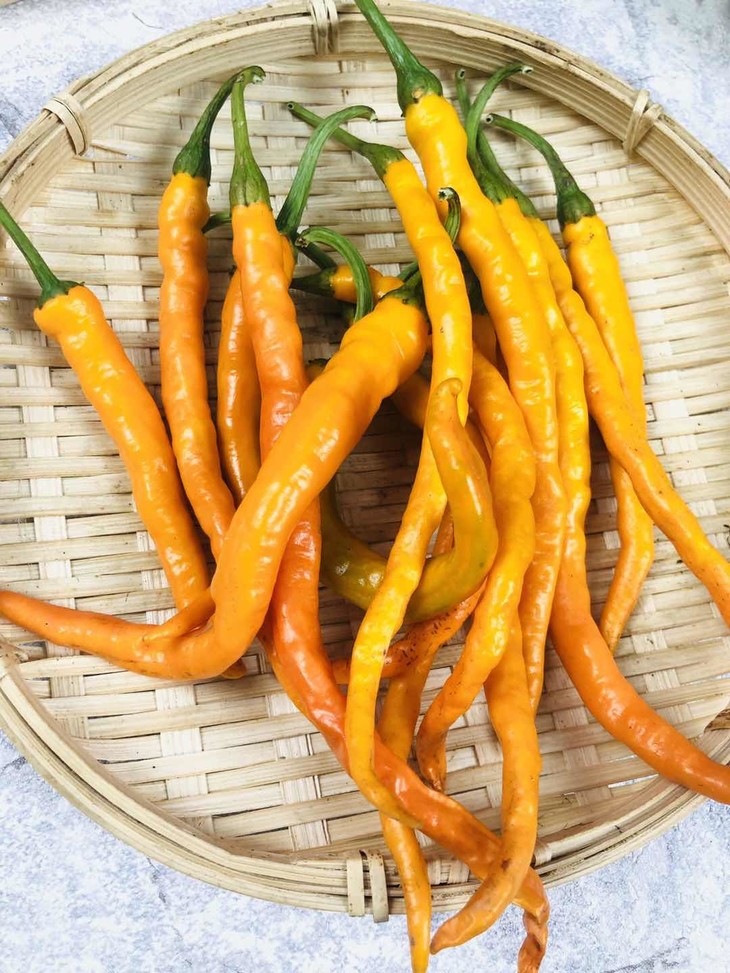 黄线椒16元每斤