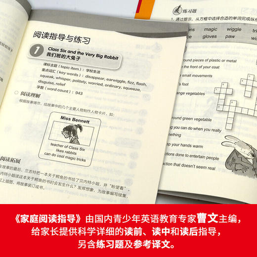 大猫英语分级阅读十级 Big Cat(适合小学六年级、初一 9册读物+家庭阅读指导+MP3光盘）点读版 商品图4
