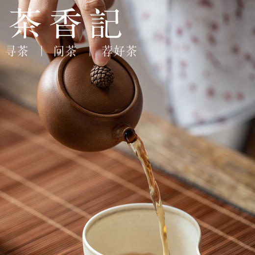 茶香记 老段泥松果壶 紫砂壶 永砂 原创壶 自然意趣 娇萌憨鞠 商品图4