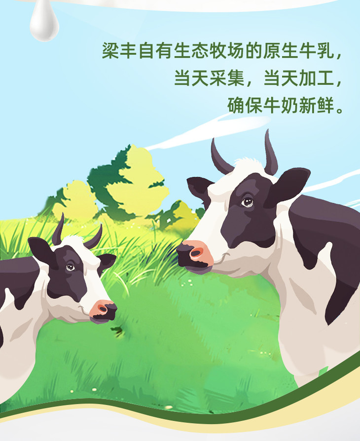 梁丰纯牛奶早餐学生儿童奶250ml20盒整箱批发6个月保质期