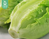 【叼鲜蔬】云南新鲜大利生菜/1份（约350g） 商品缩略图5
