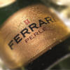 法拉利伯乐起白中白泡葡萄酒 意大利 Ferrari "Perlé" Trento DOC 2017 商品缩略图1