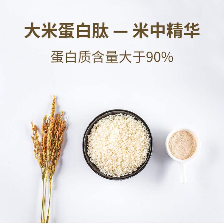 大米蛋白肽250克