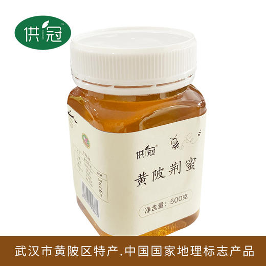【武汉.黄陂】江城百臻供冠富家寨村黄陂荆蜜500g 商品图2