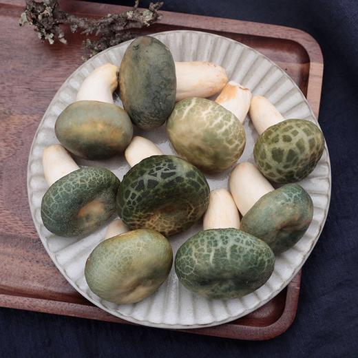 云南野生菌王国新鲜青头菌500g