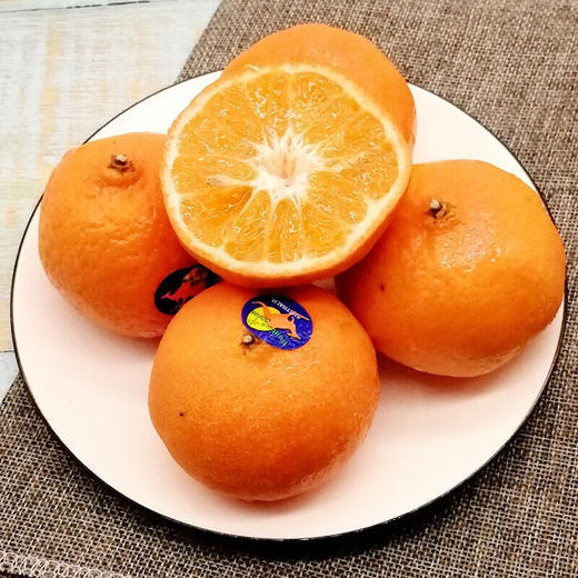 南非蜜柑4个600g