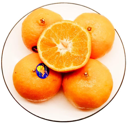 南非蜜柑4个600g