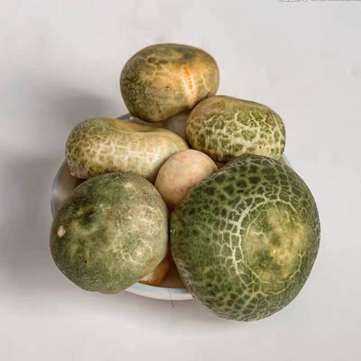 云南野生菌王国新鲜青头菌500g