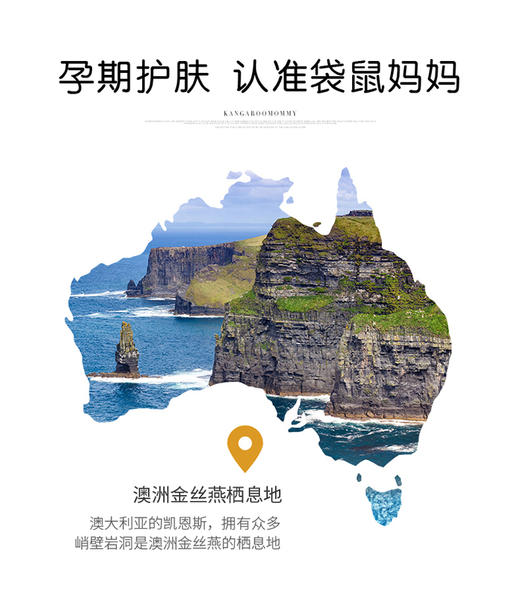 袋鼠妈妈 袋鼠妈妈 燕窝深润臻颜遮瑕六件套孕妇护肤品套装化妆品JPY带授权招加盟代理 商品图11