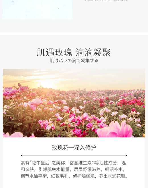 阿拉蕾ARALE玫瑰柔润化妆水500mlJPY带授权招加盟代理 商品图4