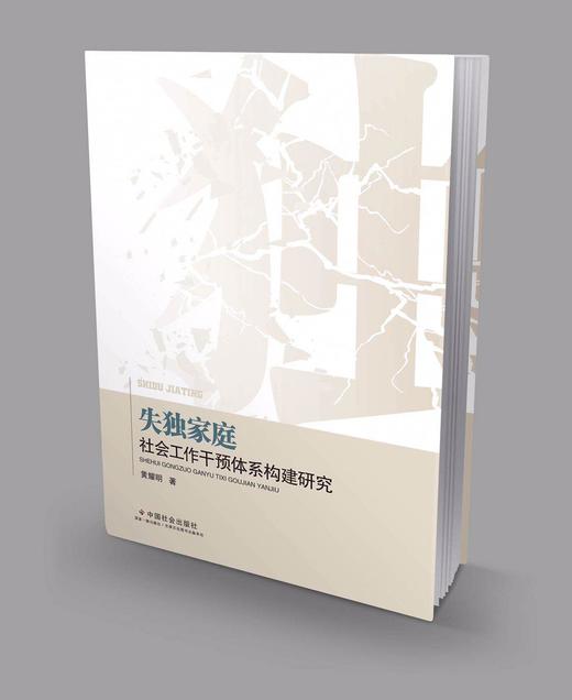 失独家庭社会工作干预体系构建研究 商品图0