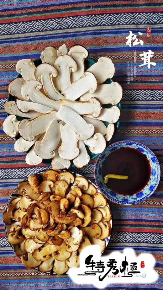 【香格里拉松茸】带礼盒✈️全国顺丰包邮📦（同城次日提） 商品图5