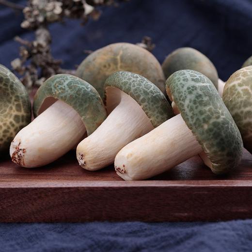 云南野生菌王国新鲜青头菌500g