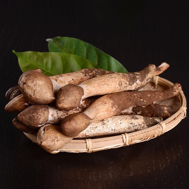 云南特产野生菌火把鸡枞菌500g/盒