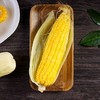 今日秒杀~【密云农家 水果玉米】6根/份，鲜、甜、嫩 商品缩略图1