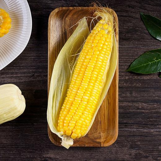 今日秒杀~【密云农家 水果玉米】6根/份，鲜、甜、嫩 商品图1