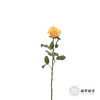 单头玫瑰 | 辉煌 商品缩略图2