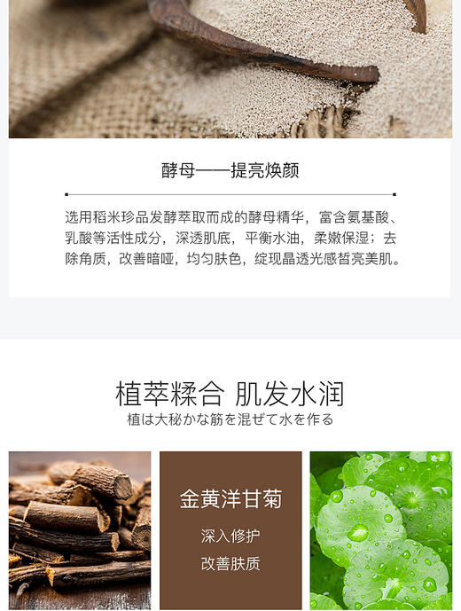 阿拉蕾ARALE豆乳奶酪细致面膜100gJPY带授权招加盟代理 商品图5