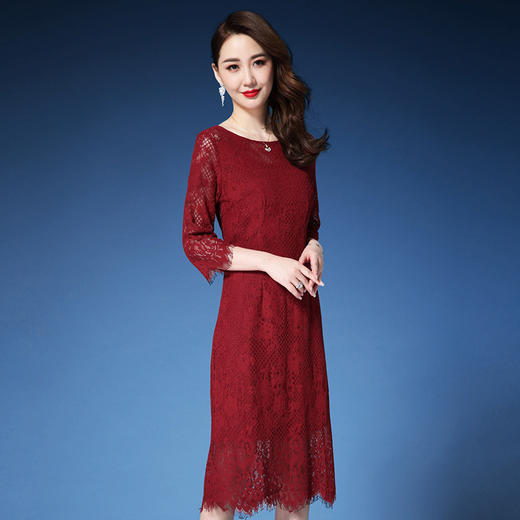 ZY-Q5086新品时尚优雅高端气质显瘦修身网纱刺绣连衣裙 商品图3