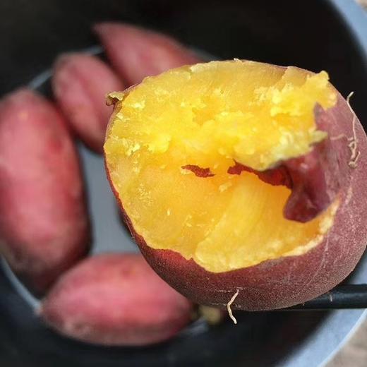 天目山小鸡蛋薯 5斤装(20-40个)一定要水煮