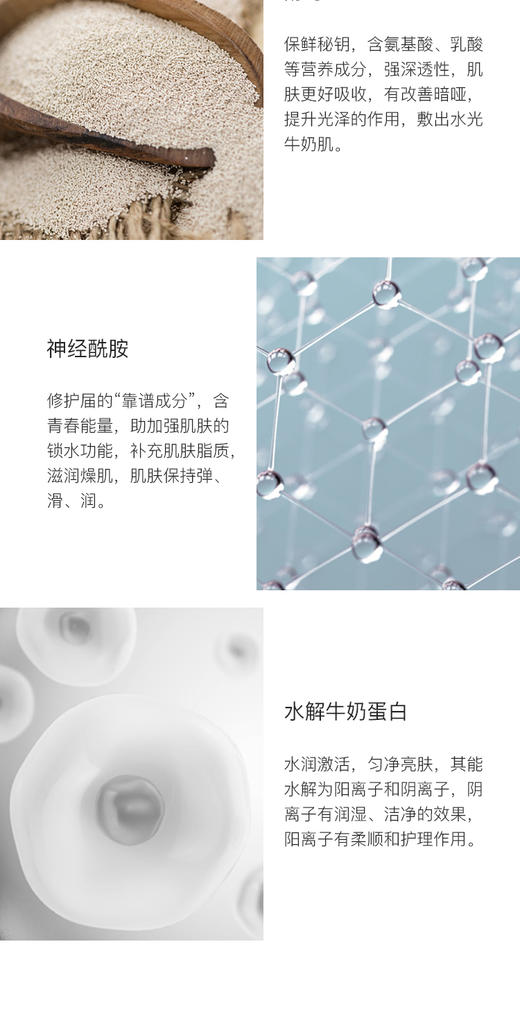 阿拉蕾ARALE芝士酵母发光面膜300gJPY带授权招加盟代理 商品图3