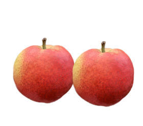 新西兰大红梨 5000g/份