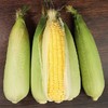 今日秒杀~【密云农家 水果玉米】6根/份，鲜、甜、嫩 商品缩略图2