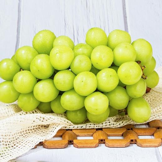 【香甜阳光玫瑰晴王青提】2-3串/约3.6斤/箱，高山种植，皮薄肉厚，香味浓郁 商品图0