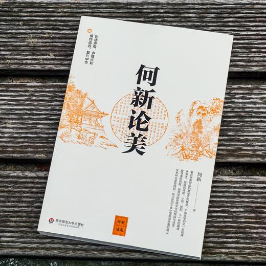 何新论美 中国美学思潮研究 何新著 商品图1
