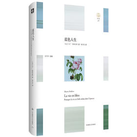 蓝色人生 轻与重文丛 马丁斯蒂芬斯著 人生哲学