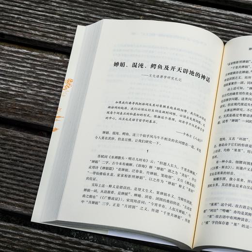 何新论美 中国美学思潮研究 何新著 商品图4