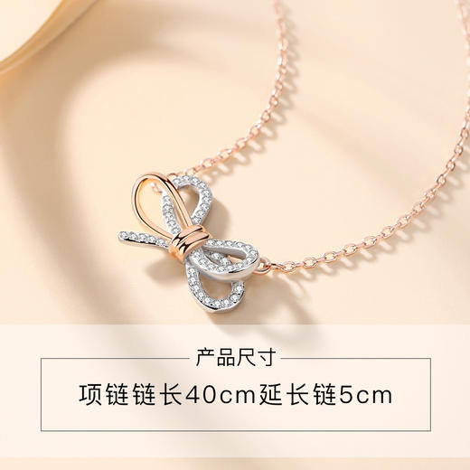 Winy925纯银浪漫情人结项链送女友闺蜜节日生日礼物 商品图4