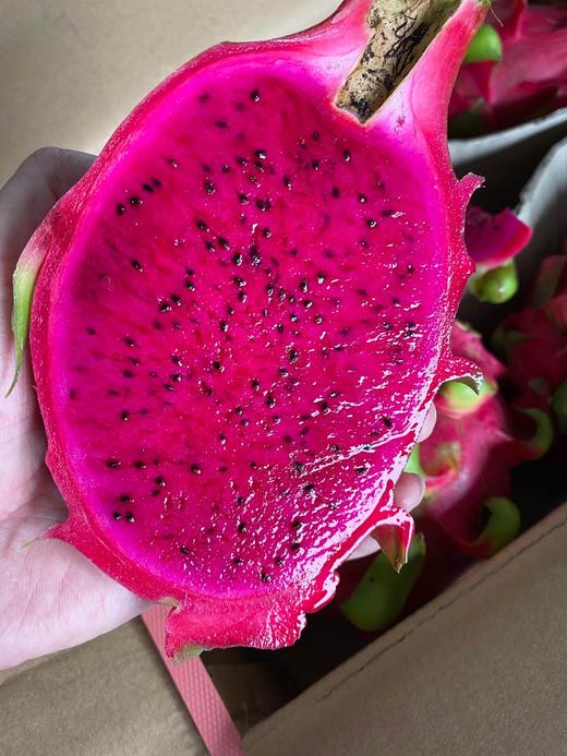 周四秒杀:如意越南红心火龙果!纯甜!多汁!肉细!抗老神器哦!