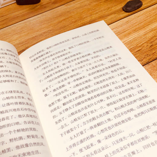 长在树上的猫尾巴张秋生童话诗歌精选集