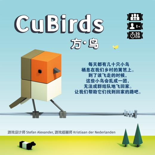 【集石桌游】方.鸟 CuBirds 商品图2