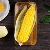 【密云农家玉米双拼 3根水果玉米+3根糯玉米】6根/份，双重口味，鲜玉米，儿时的味道 商品缩略图2