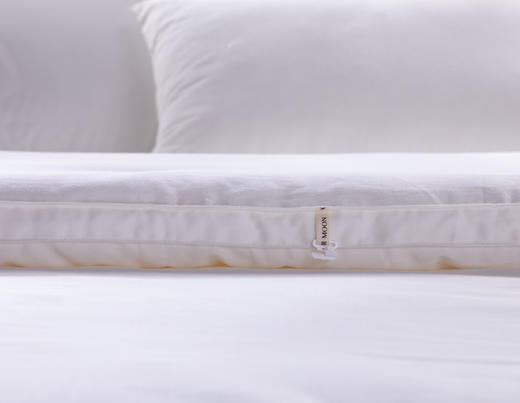 【远梦】蚕蛹蛋白养护冬被 商品图5