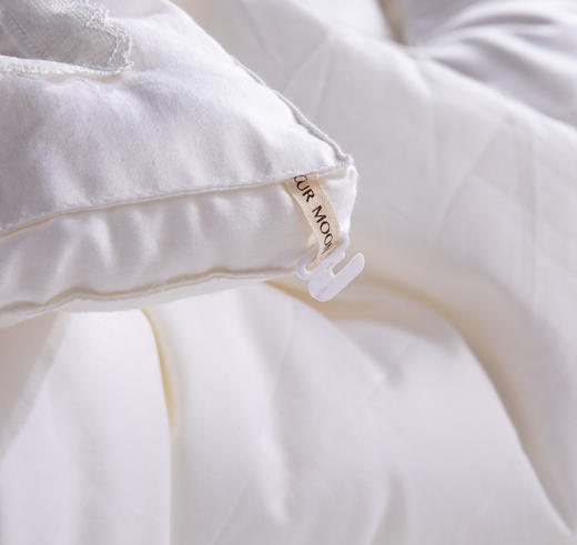 【远梦】蚕蛹蛋白养护冬被 商品图2