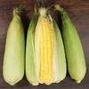 【密云农家玉米双拼 3根水果玉米+3根糯玉米】6根/份，双重口味，鲜玉米，儿时的味道 商品缩略图3